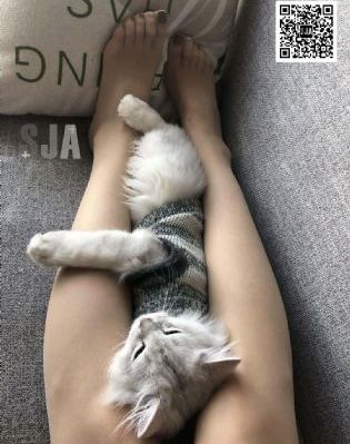 女人私视频免费观看