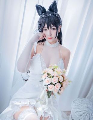 88影视官网