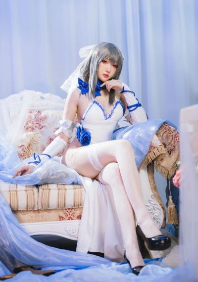 番茄视频app