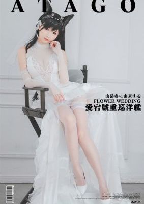 南拳北腿电视剧国语全集免费观看